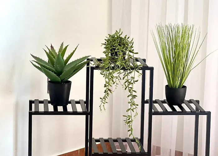 Apartmán Vollga Breeze Aparts *